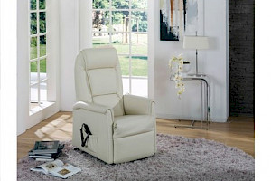 Fernseh- und Relaxsessel Z22783 - Leder; Mini-Mini, verstellbar (Basic)